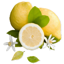 Eureka Lemons